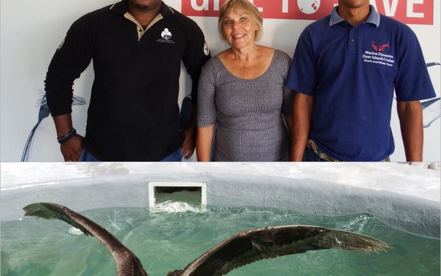 Vlnr is Xolani Lawo (Bestuurder: APSS), Annatjie Pretorius en Mervin Visagie (APSS) by die African Penguin and Seabird Sanctuary waar die Northern Giant Petrel versorg word totdat dit vrygelaat kan word 